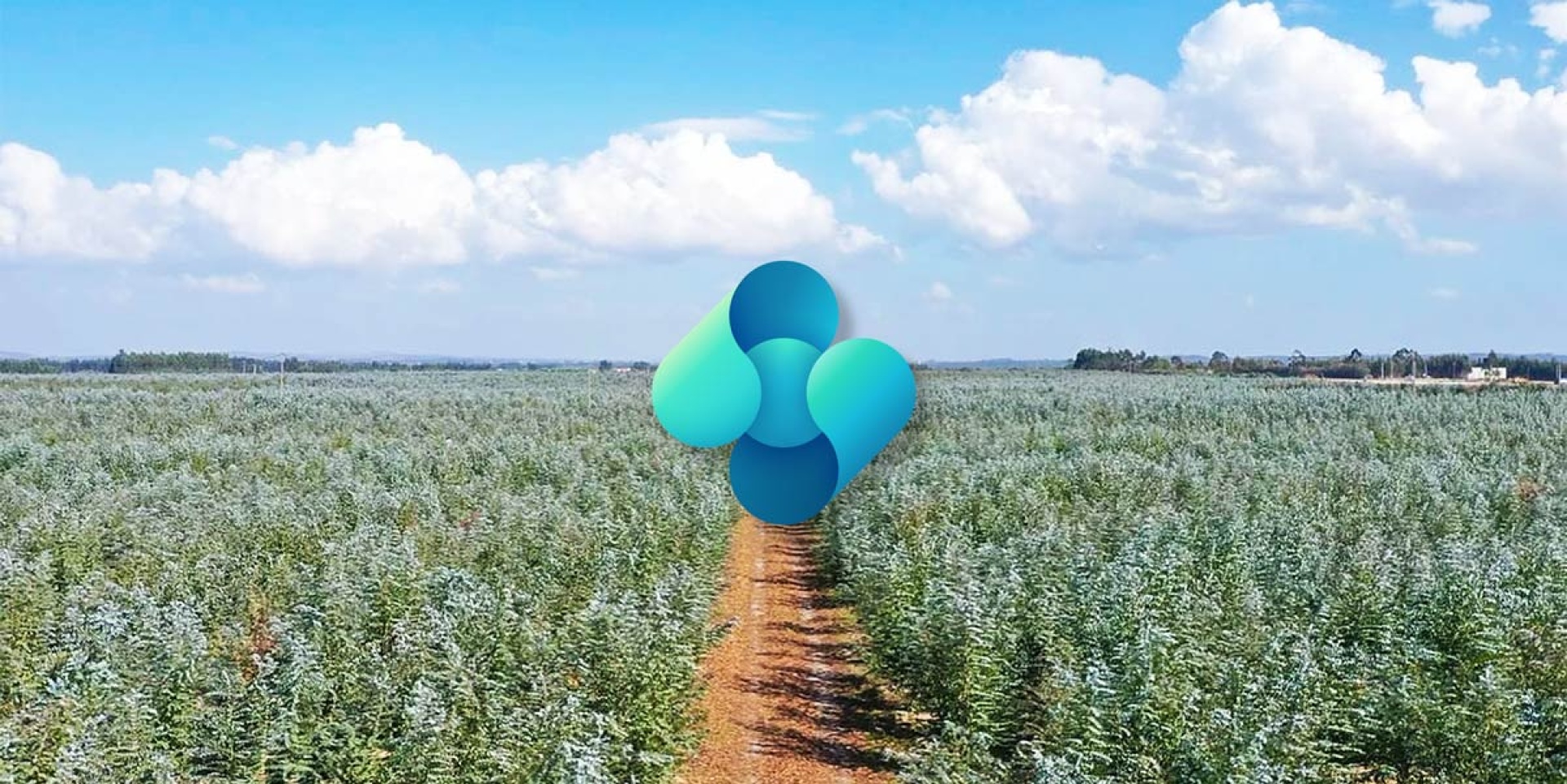 Centralização da informação e automatização de processos operacionais no setor agroindustrial